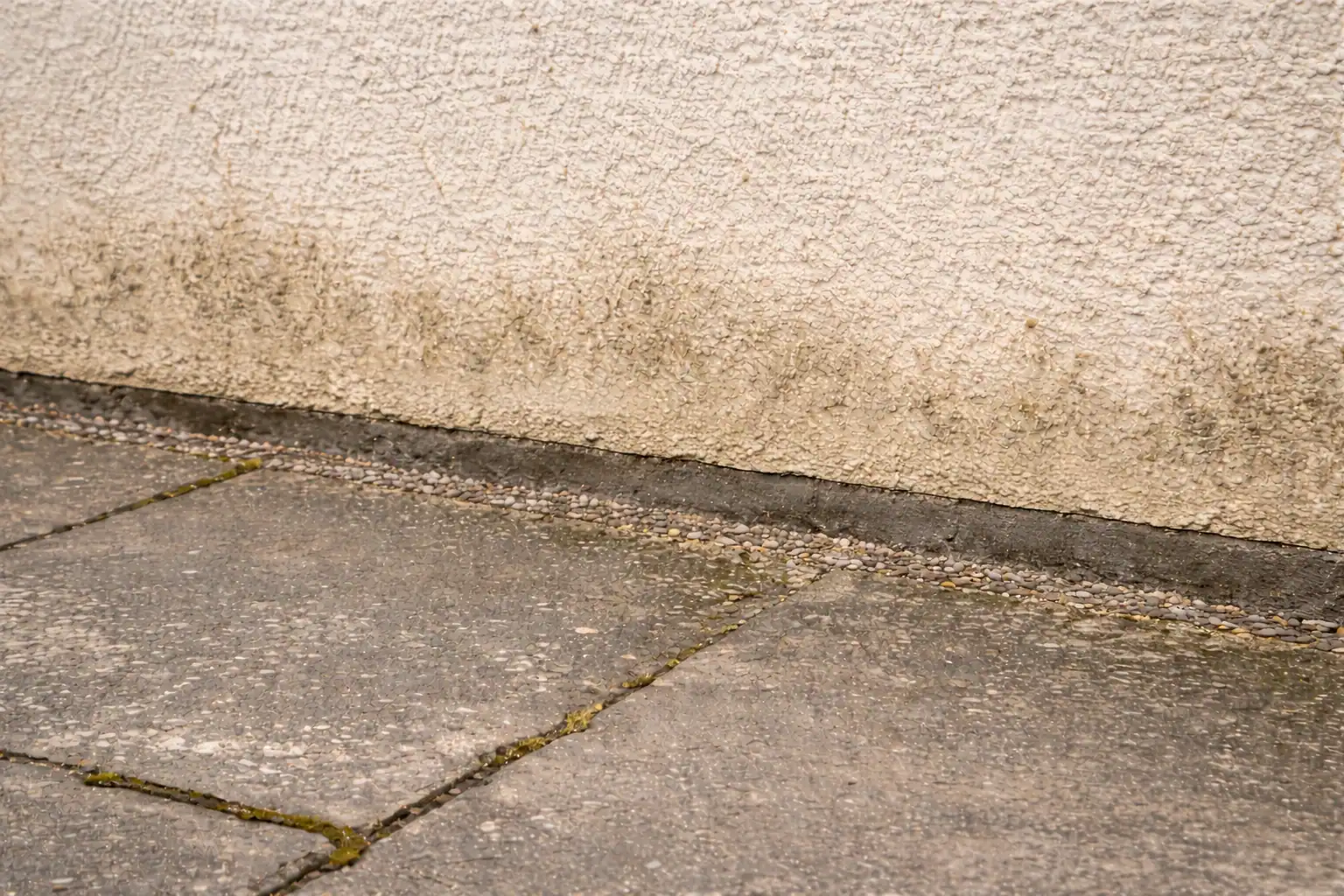 schedule of condition party wall